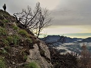 03 Velature estese sui monti, sereno in pianura, segni di incendio estivo salendo sulla cima del Corno Zuccone